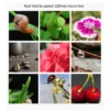 APEXEL For Dropshipping Camera Phone Lens 100mm Macro Mobile Lens Macro Camcorder Lenses for iPhone Samsung All Smartphone 6